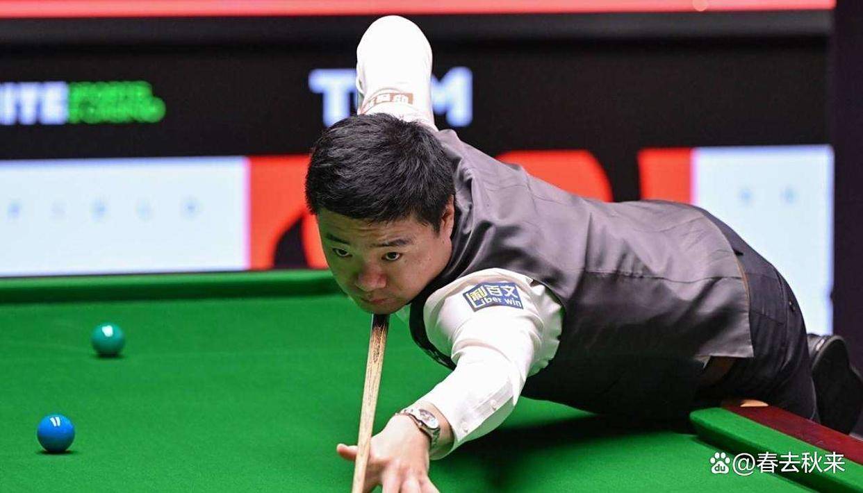 展示了他们 展示了他们