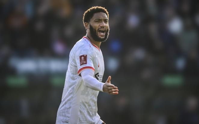 代前锋的多 代前锋的多